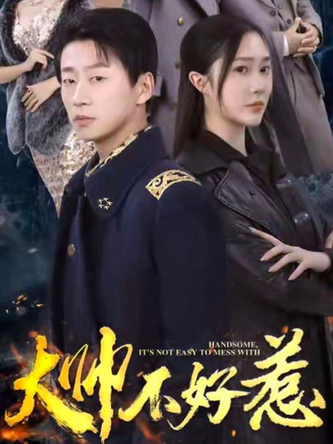大帅不好惹海报.jpg