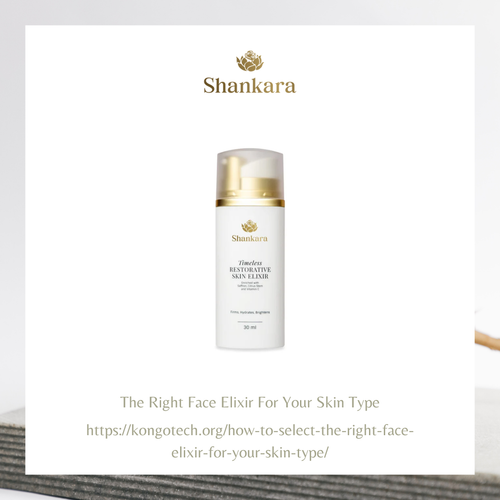 shankara image 4.png