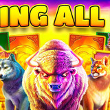 Buffalo King Untamed Megaways