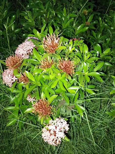 JPEG 20240708 124939 27140150450108671.jpg