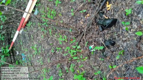 20240708 115230 20240708143434.jpg