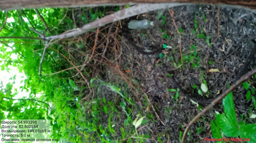 20240708 114055 20240708143453.jpg