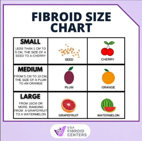 Average Uterus Size: Impact of Fibroids on Dimensions.jpg