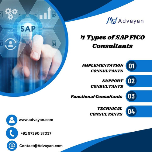 SAP FICO Consultants.jpg