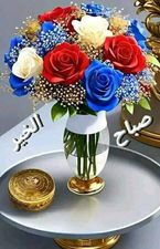 393167236 866559591628716 7690071744475602655 n.jpg