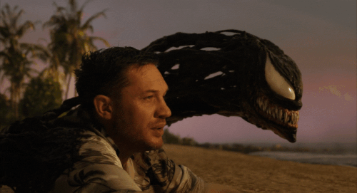 v2 513.gif