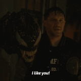 v2 491