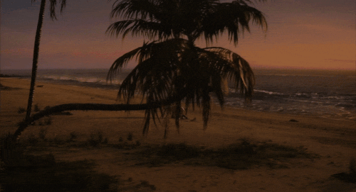 v2 526.gif