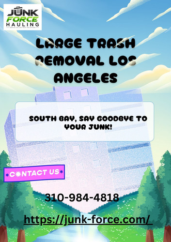 Large Trash Removal Los Angeles.1