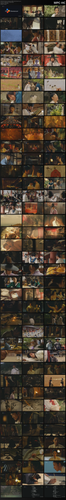 Portrait of a Beauty (2008) เปลือยรักวังต้องห้าม.mp4 thumbs.png