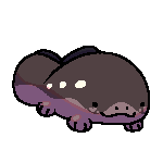 @skysong39.png