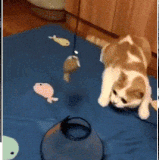 obman.gif