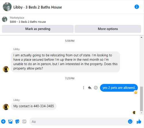 libby.png