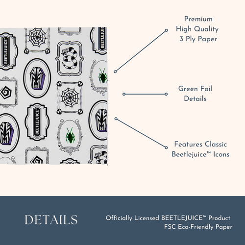 BEETLEJUICE X BONJOUR FETE LARGE NAPKINS WB24BTLJ LN MUL (4).png