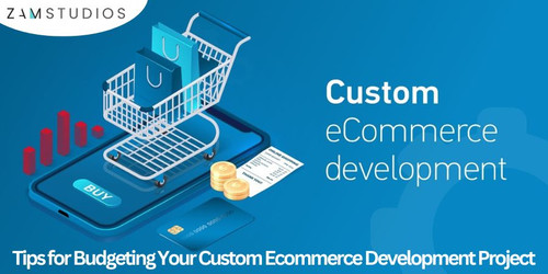 Tips for Budgeting Your Custom Ecommerce Development Project.jpg