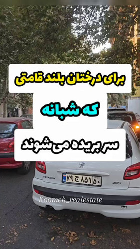  kXBD87cHu2NVij0.jpg