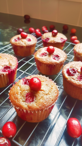 leonrud photorealistic natural self made low carb cranberry m 1ff4ab7a f306 4398 a866 6cb0ff65c659 1.png