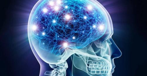 389094986151344748?url=https%3A%2F%2Frde.al%2Fwp content%2Fuploads%2F2024%2F09%2FNeurons Brain Activ.jpg