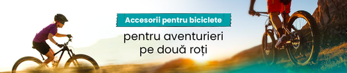 lp cyko RO.png