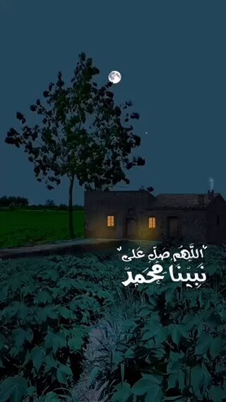 SK 6ADIGN8yrJMv4.jpg
