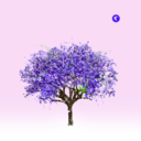 d6c955e7c550.png