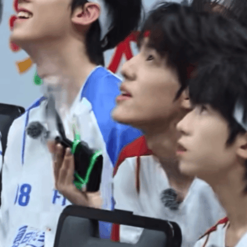 IMG 1641.gif