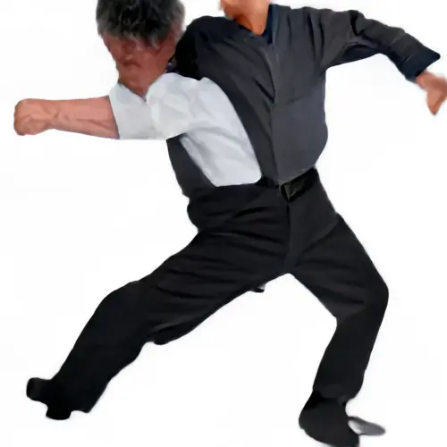 9271373040052186177515628741899.webp