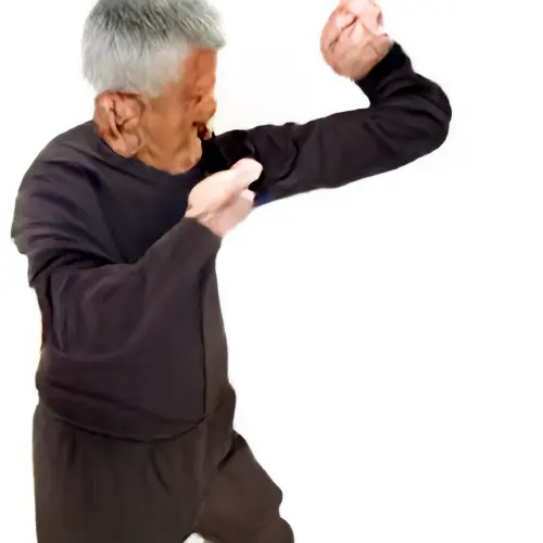 80401600882175848285165794099694.webp
