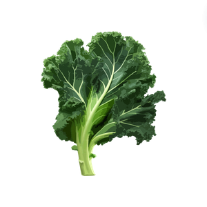Screenshot 2024 09 13 at 17 17 20 co – 300 × 300 px.png
