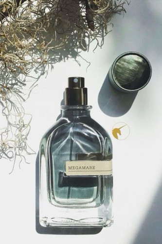 40321359160044440 1.jpg