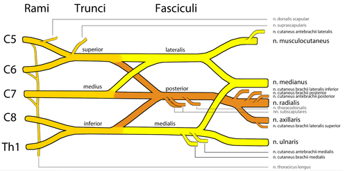 fd4edbcb0388.png