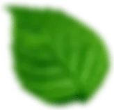 f6b2f33d58ab.png