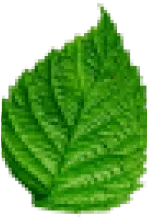 a92eaa898d4d.png