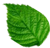 6407af507520.png