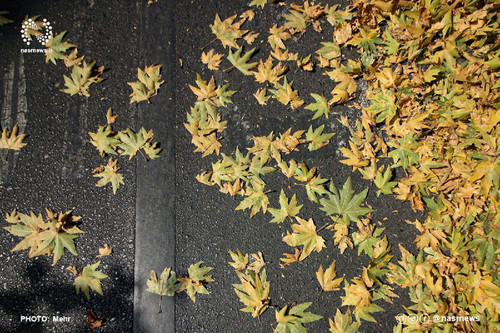 joI0W7yQBsyTrt 9V QzsZzNBqvLl2RlwEWBijB5JjHBb9IZnHi qvQ63I1D c7h8yFlnpkGhVY6LE 0prQE3vY1PejcE2ExhLQZ.jpg