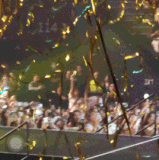 18b4ee2a340d4c3ca3be910d5982d2ff.gif