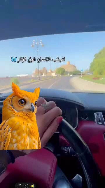 9uGBGhgQM a0tiM9.1