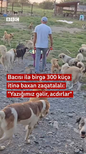faCx8ZdcSRnKPmko.jpg