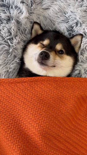 LnoXEjOCMOGH5 AM.jpg