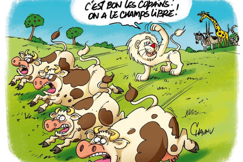 25521 180502141356226 0 960x640