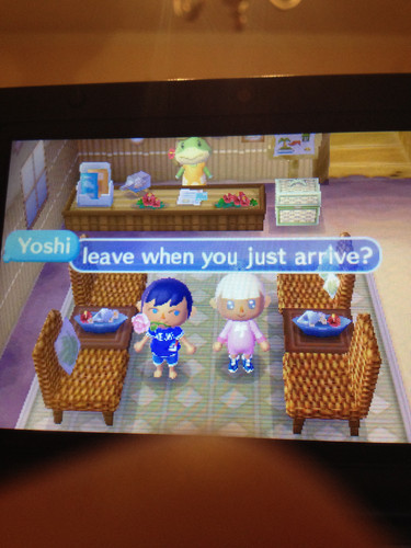 image.jpg