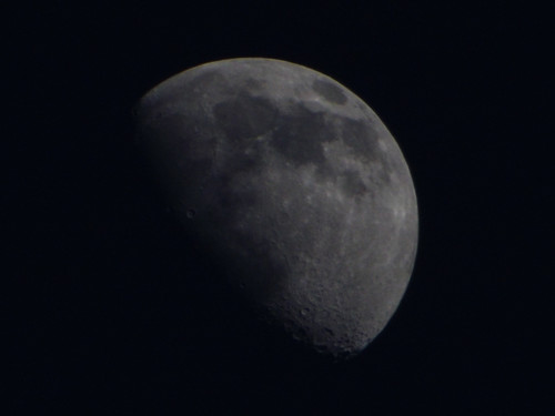 DSCF0855.jpg