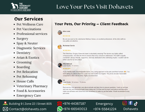 Love Your Pets Visit Dohavets.png