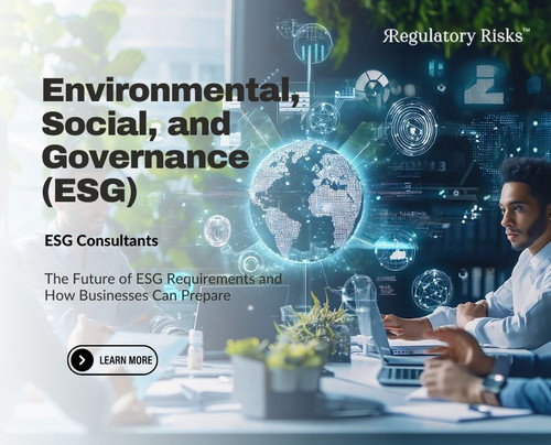 ESG Consultants: Preparing for the Future of ESG Requirements.jpg