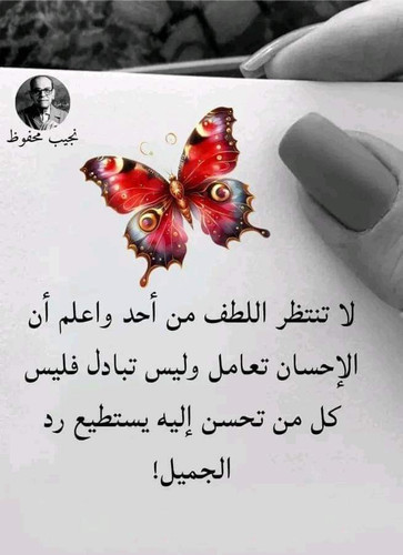 FB IMG 1726225385998.jpg