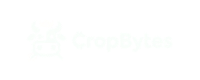 23cf23e36936.png