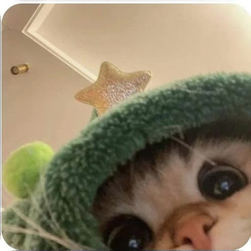 undefined.jpg