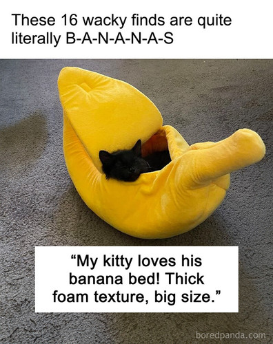 8 just banana things.jpg