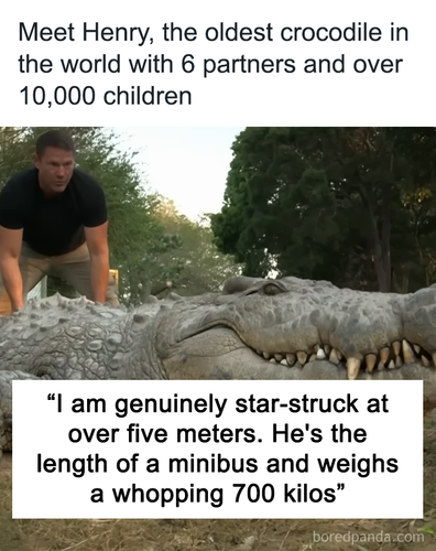 worlds oldest croc henry.png