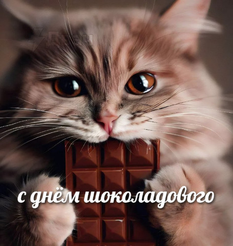 TYSMQJBi23u77k7aO0DPdx KVOkB8b slvT03G3ga010t0Ov91gYn zjSvb5UYJ2lRvAQgri 5sIxWOH2IethS5BX4cjzL0ApwRO.jpg